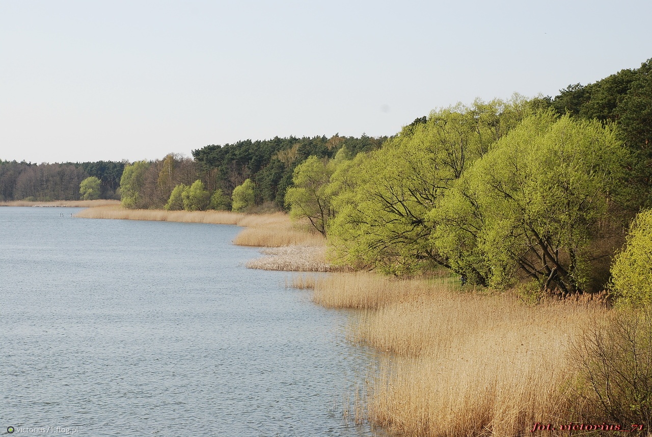 Jezioro Wikaryjskie Fotoblog Victorius71flogpl 5709