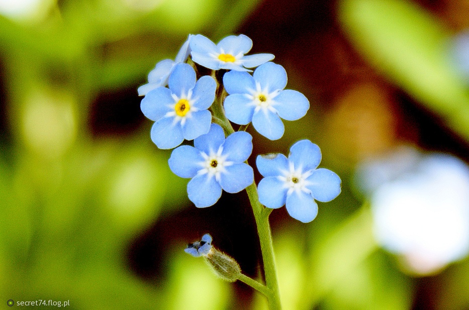 Oczy Mi Zamkniesz I Wtedy Swoje Smutne Zdziwione Bardzo Otworzysz Umrę ci kiedyś.Oczy mi zamkniesz.I wtedy swoje-smutne,zdziwione