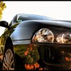 ALFA :: ALFA ::