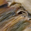 Makro metamorfoza :: Na zdjeciu jest fragment liścia który przymarzł zimą na balkonie. Zrobione w makro skojarzyło mi się