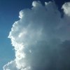 Serce ucisz,gdy w nim burza,nadziei dodaj,gdy smutek się wkradnie,bądz przy mnie....  :: Miłego dnia dla wszystkich!Pozdrawiam serdecznie! 