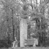 Góra Śmierci - Pustków Osiedle k/Debicy  ::  

 

 
"W fotografii barwnej pokazujesz kolor ubrań fotografowanych, w czarno-białej powiniene 