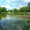 zapraszam na spacer ...inowrocławskie Solanki...miłego dnia wszystkim:))  :: Nie szukaj dni co zabrał czas 
 Żyj chwilą która trwa 
 Niech niosą Cię marzenia 
 Niech wszystko na 