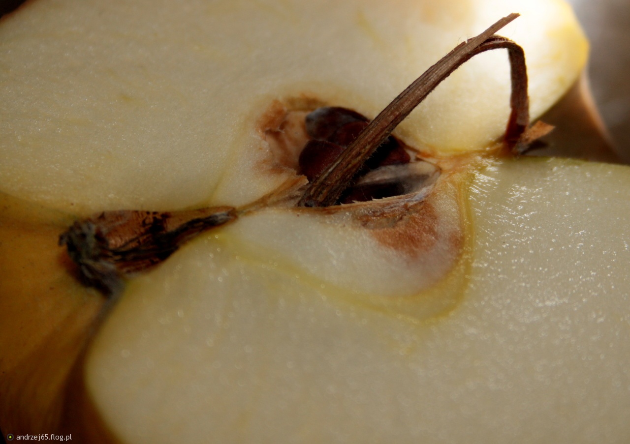 Yigit dikini eshakka suradi Bepul ukraina porno